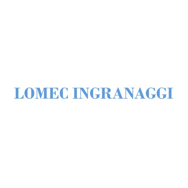 LOMEC INGRANAGGI SRL a socio unico