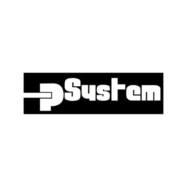 P SYSTEM AUTOMAZIONE SRL