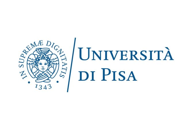 DICI – UNVERSITA’ DI PISA
