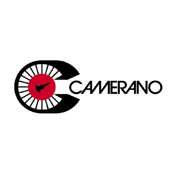 CAMERANO DI MICHELA MUSSO & C. SAS