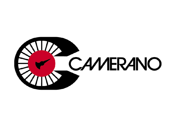 CAMERANO DI MICHELA MUSSO & C. SAS