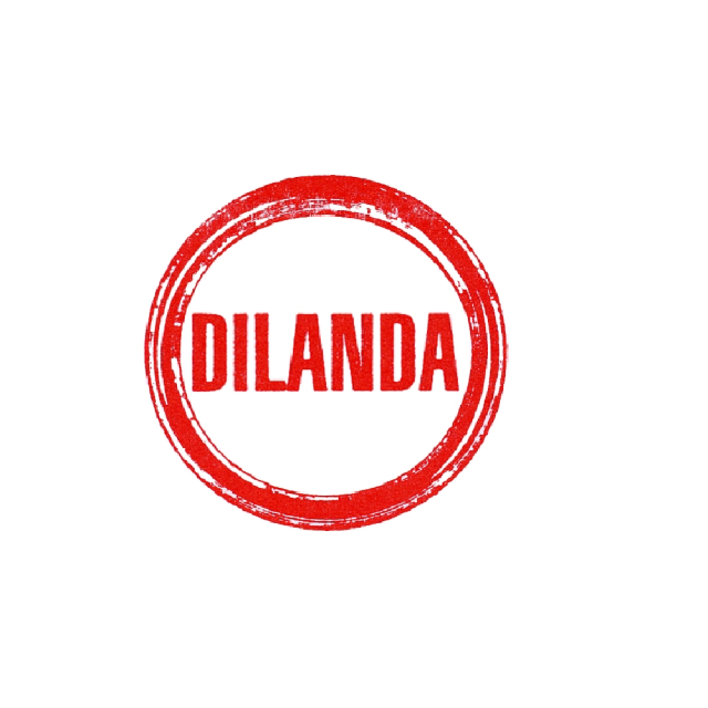 DILANDA SRL A SOCIO UNICO