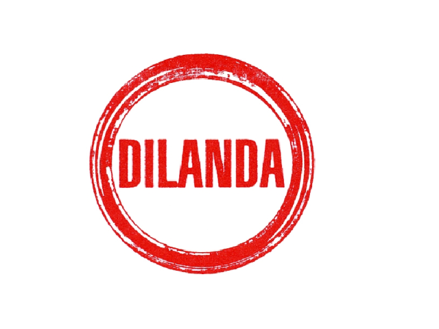 DILANDA SRL A SOCIO UNICO