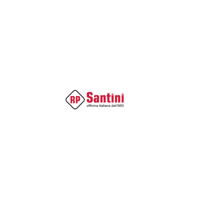 RP SANTINI SRL