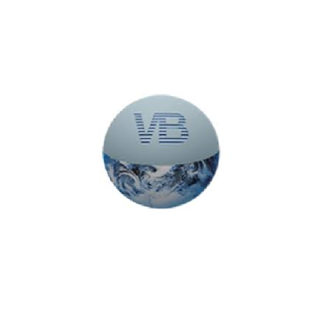VENETA BEARINGS SRL